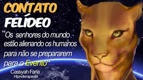 CONTATO FELINO - HIPNOSE REGRESSIVA COM CONTATOS EXTRAFÍSICOS