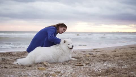 young woman sitting on the sand and embracing her dog of the Samoyed breed by the sea White