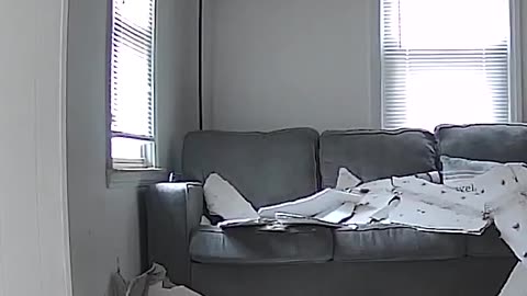 Man nearly struck by falling ceiling