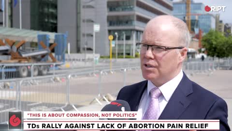 WATCH: "Humane" bill proposes pain relief for unborn babies in late-term abortion.