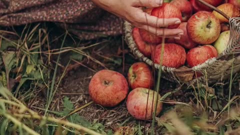 Angelo Branduardi, italian medieval music 🍎 Grab the first apple❤ Cogli La Prima Mela Live '83 | mixage🍎 #branduardi