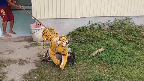 Prank Dog with a fake tiger 2021