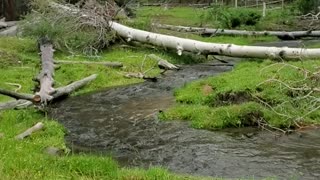 Beautiful stream at Boulder Mountain