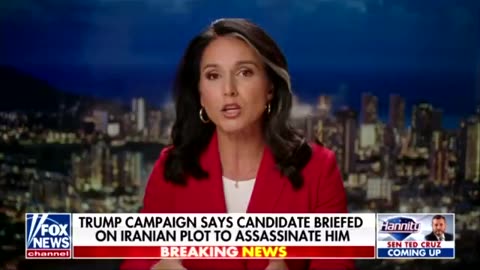 Tulsi Gabbard says Rasmussen poll showing 30% of Democrats want Trump assassinated