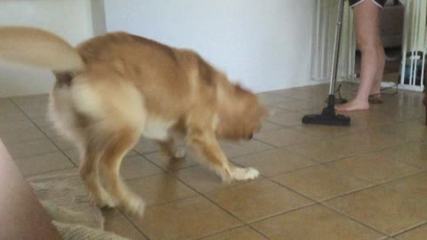 Darcy Dancing with the Vacuum Cleaner