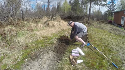 Planting potatoes and berry plants