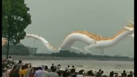 Huge Dragon