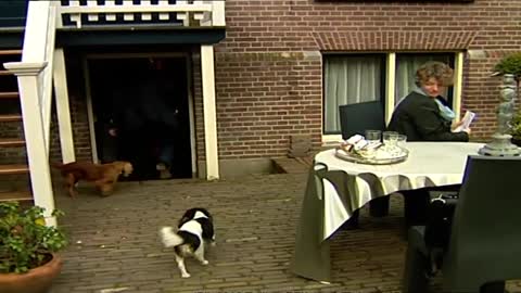 Pim Fortuyn zet BBC grootheid John Simpson op zijn plek.