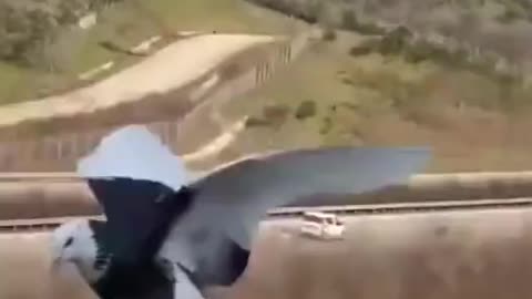 perfect landing