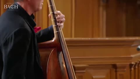 Bach - Cantata BWV 49 - Sinfonia