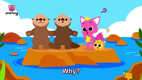 LEARN ABOUT ANIMAL ! FUN FACTS IN SONGS ! POOP,COLORS,BODY PARTS ,SLEEPING HABIT AND DIET ! PINKFONG