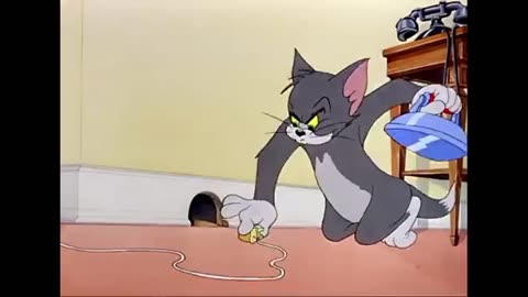 Tom and Jerry fight