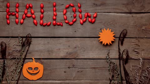 A Cool Halloween Stop Motion Video.