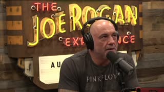 OMG: Joe rogan speaks on kamala harris will shock you