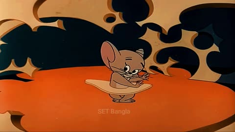 Tom and Jerry bangla cartoon