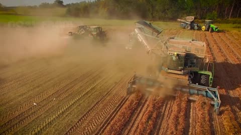 How Peanut Butter Is Made