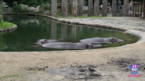 Going to the ZOO with Maya and Filip