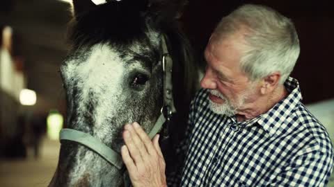 A senior man standing close to a horse in a stable, holding and stroking it. Slow motion