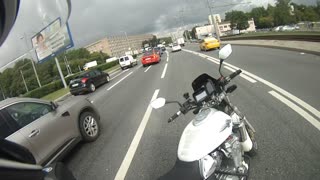 Moscow Motorists Rescues Kitten During Rush Hour