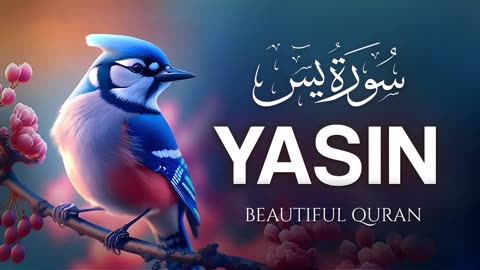 Surah Yaseen Recitation: Heart Soothing Verses for Peace and Blessings