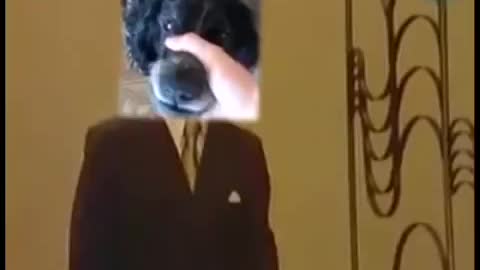 Beatbox Dog Sings Trololo