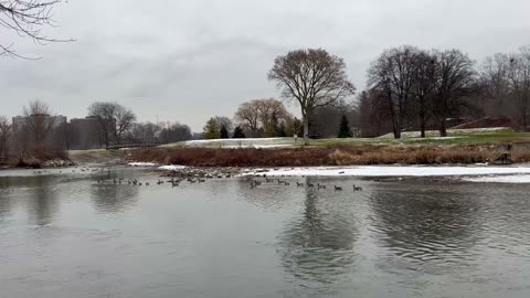 Snow and colder weather incoming. Fly away soon !!