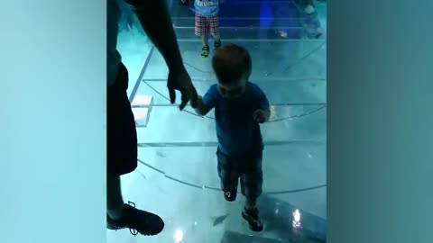 Funny Kids at the Aquarium | Girl SPOOKED By A Beluga Whale!