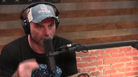 Joe Rogan - Ryan Sickler tells Joe about his schizophrenic cousin.