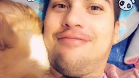 Corgi Loves Her Owner