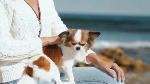 Young adult girl spending weekend day together with little dog