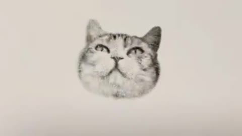 One of a kind cat stamp!! @happyandpolly #cat #catsupplies #pet #catsoftiktok #cutecat #fyp #catstam