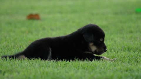 spent a lazy day on the lawn sunbathing