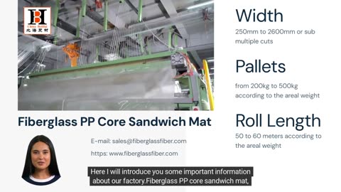 2024 new product fiberglass PP core combo mat, sandwich fiberglass mat