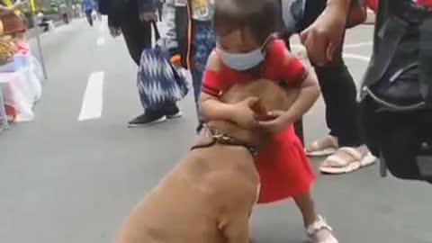 a child finds a dog that she loves 😨