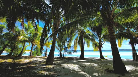 relaxation on the beach