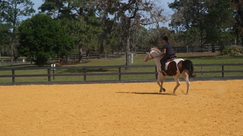 Cantering