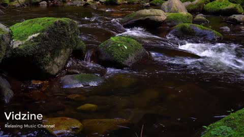 Relaxing River Sounds - Peaceful Forest River - 5 Minutes - HD 1080p - Nature Video