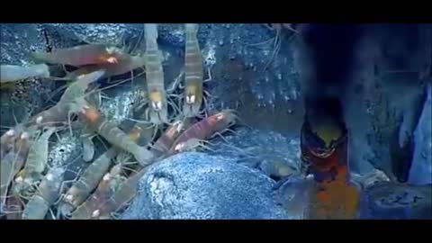 Deepest Oceanic Trench on Earth