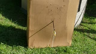 Kid Pulls Tooth With Bow And Arrow