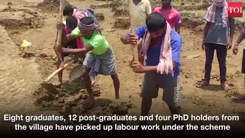 Jobless gradute holders are forced to do labour during COVID-19