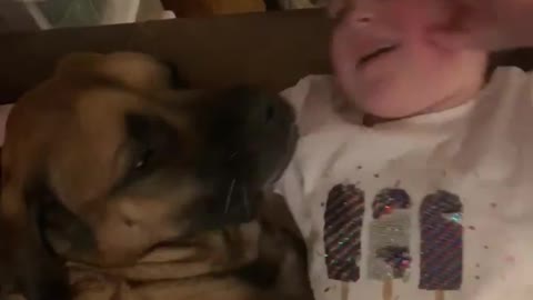 Protective pup trained to bite on command