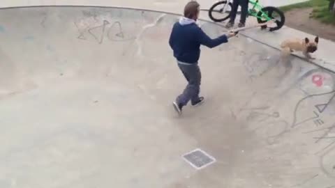 Perro skater autodidacta es mejor que la mayoría de los humanos