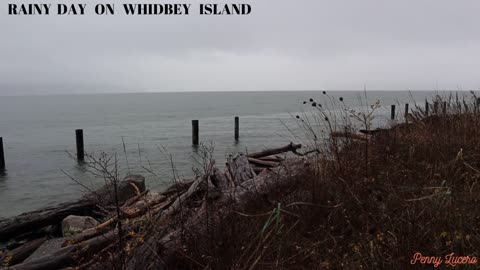 Rainy day on Whidbey Island