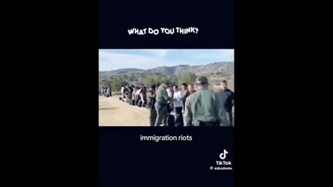 Sam Tripoli on Illegals...