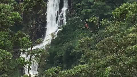 Dewon falls most beautiful waterfall