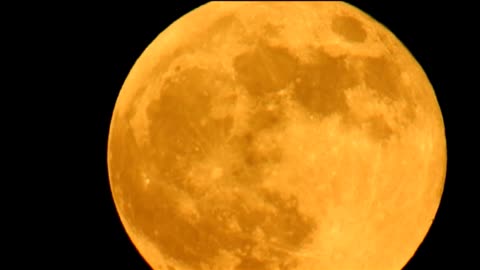 Plane Flies by Full Moon