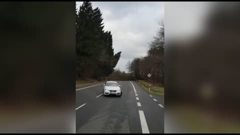 Incredible storm in Germany knocks over massive trees with ease