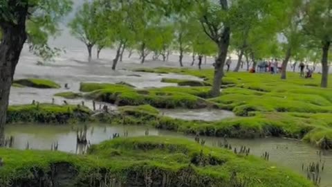 Nature view in Bangladesh