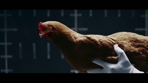 Mercedes-Benz “Chicken” TV commercial