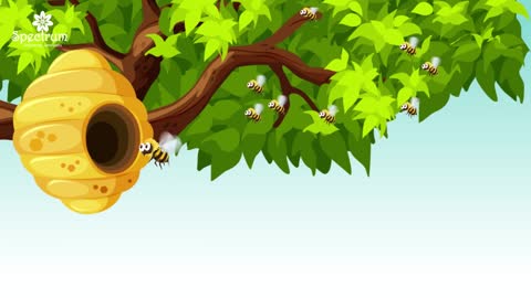 Bird cartoon ❤Allah Hoo poem❤ Baby birds❤Bird house on tree❤Nursery rhymes